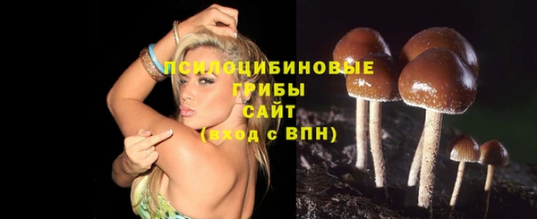 прущая мука Вязьма