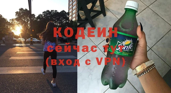 эйфоретик Вяземский