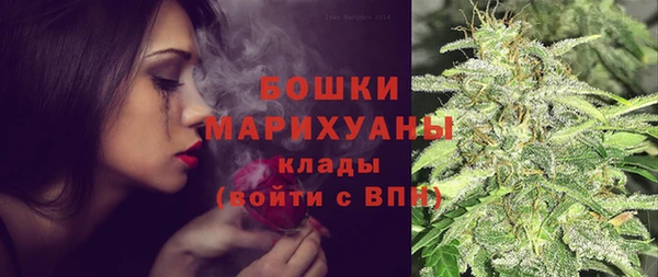 эйфоретик Вяземский