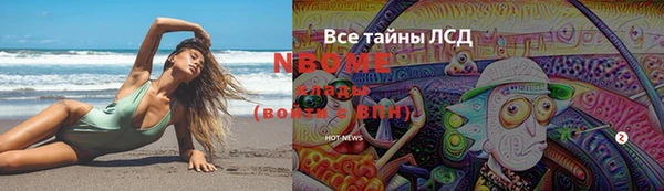эйфоретик Вяземский