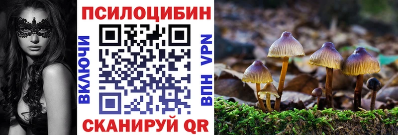 Галлюциногенные грибы мицелий  Тайшет 